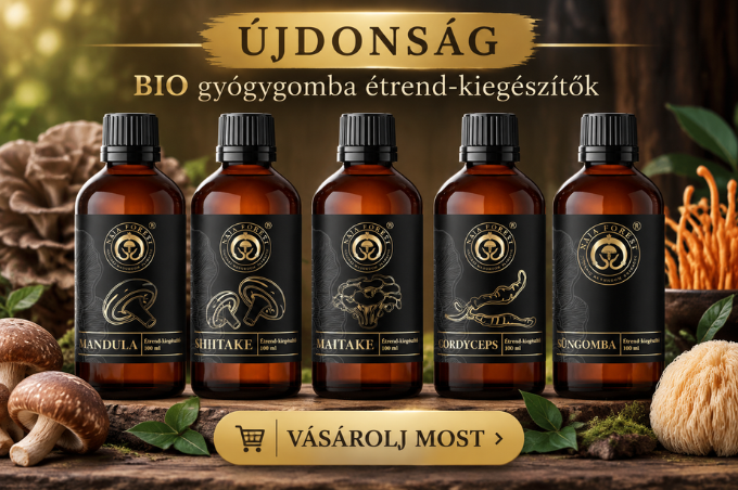 orfeumspa.hu