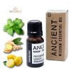 Energie Ätherisches Öl Mischung - In Schachtel - 10ml