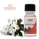 Weißes Moschus Duftöl 10ml