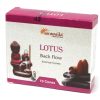 Aromatika Duftende Kegel "Flüssiger Rauch" - Lotus