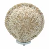 Boho Kagyló Lámpa - Vegyes - 30cm