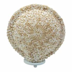 Boho Kagyló Lámpa - Vegyes - 30cm
