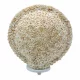 Boho Kagyló Lámpa - Vegyes - 30cm