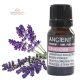 Lavendel ätherisches Öl 10ml