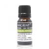 Eukalyptus Ätherisches Öl 10 ml
