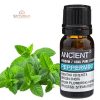 Pfefferminzöl 10 ml