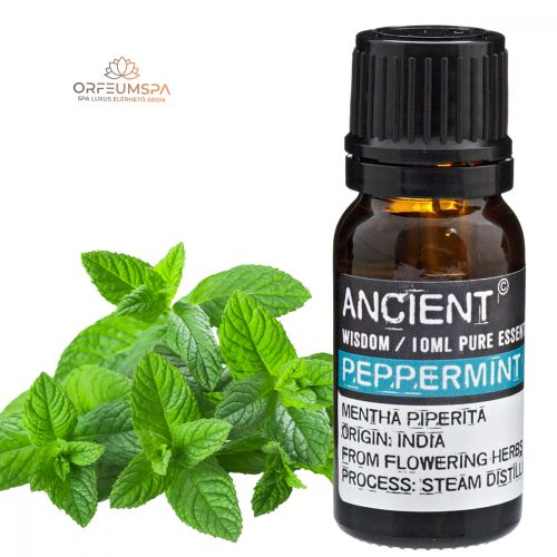 Pfefferminzöl 10 ml