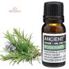 Rosmarin Ätherisches Öl 10 ml