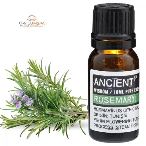 Rosmarin Ätherisches Öl 10 ml