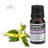 Ylang Ylang Ätherisches Öl 10 ml