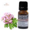 Geranie (Ägypten) Ätherisches Öl 10 ml