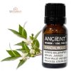 Sandelholz Amayris Ätherisches Öl 10 ml