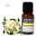 Jasmin Dilute Ätherisches Öl 10 ml
