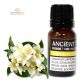 Jasmin Dilute Ätherisches Öl 10 ml