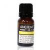 Jasmin Dilute Ätherisches Öl 10 ml