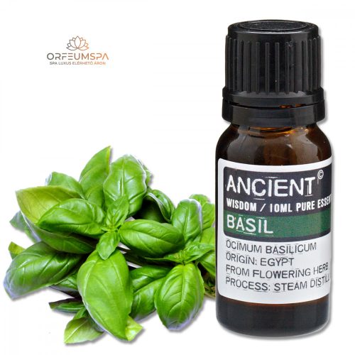 Basilikum Ätherisches Öl 10 ml