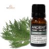 Zypressenöl 10 ml
