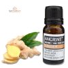 Ingwer Ätherisches Öl 10 ml