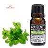 Zitronenmelissenöl 10 ml