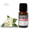Reines Neroliöl 10 ml