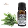 Salbei Ätherisches Öl 10 ml