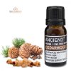 Zedernholzöl 10 ml
