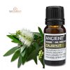 Cajaput Ätherisches Öl 10 ml