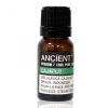 Cajaput Ätherisches Öl 10 ml