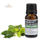 Weißes Kampferöl 10 ml