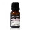 Weißes Kampferöl 10 ml