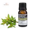 Echtes Katzenminze Ätherisches Öl 10 ml