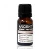Kümmelöl 10 ml