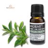 Zitrone-Teebaum Ätherisches Öl 10 ml