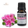 Rosenpelargonie Ätherisches Öl 10 ml