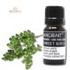 Birkenöl Ätherisches Öl 10 ml