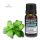Minzöl 10 ml