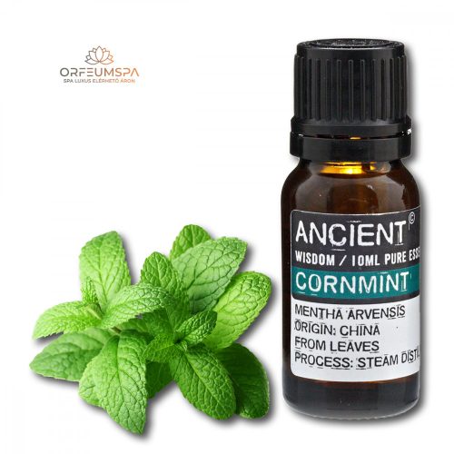 Minzöl 10 ml