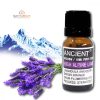 Alpines Lavendelöl 10ml