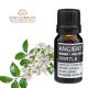 Mirtusz Illóolaj 10ml