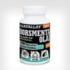 Borsmenta olaj kapszula 60db -Javallat® Forte 
