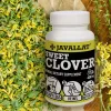 Orvosi Somkóró 60db (Sweet Clower) - JAVALLAT®