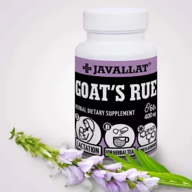 Orvosi Kecskeruta 60db - JAVALLAT®