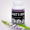Orvosi Kecskeruta 60db (Goat's Rue) - JAVALLAT®