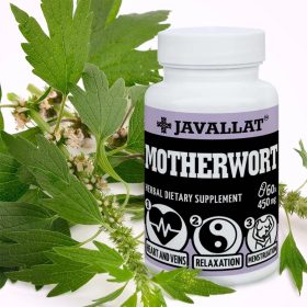 Szúrós Gyöngyajak 60db (Motherwort) - JAVALLAT®