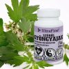 Szúrós Gyöngyajak 60db (Motherwort) - JAVALLAT®