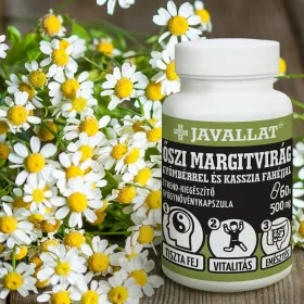   Őszi Margitvirág Gyömbérrel és Kasszia Fahéjjal 60db - JAVALLAT®