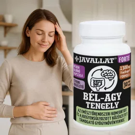 Bél-agy tengely kapszula 60db -Javallat® Forte 