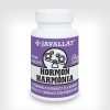 Hormon harmónia komplex 60db - JAVALLAT®