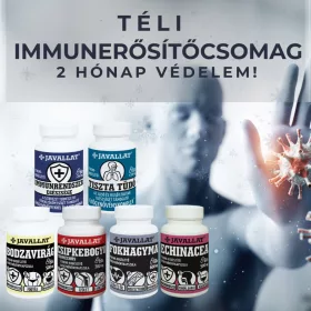 TÉLI IMMUNERŐSÍTŐ CSOMAG