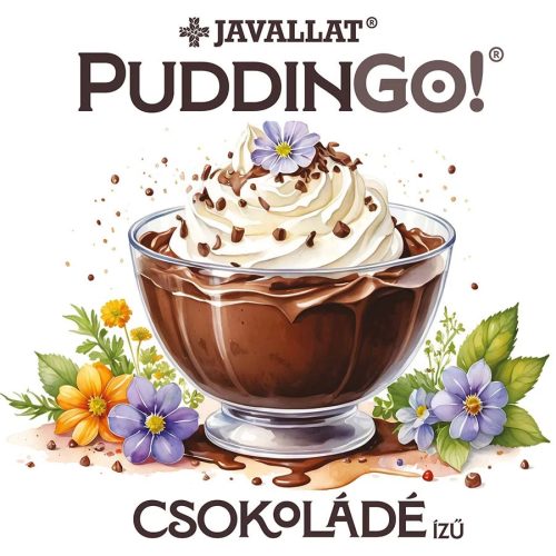Instant-Puddingpulver mit Schokoladengeschmack PuddinGo!®